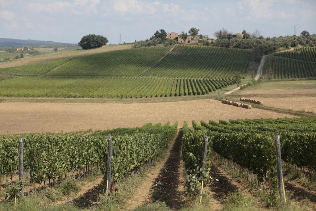 וינצ'י Agriturismo Spazzavento מראה חיצוני תמונה